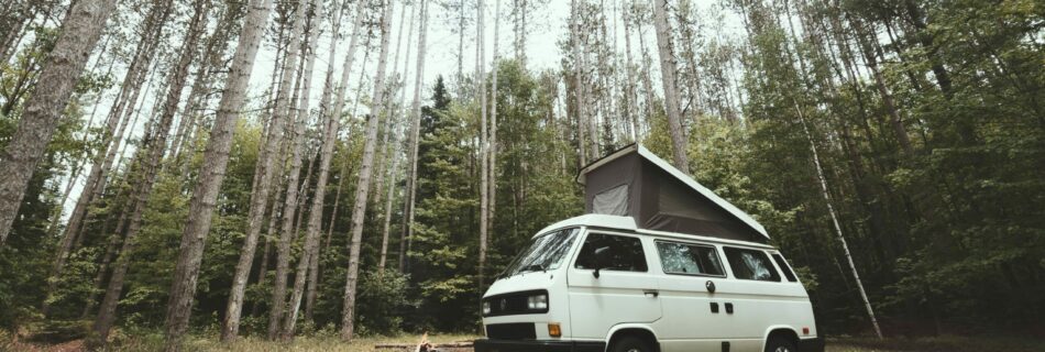 Van blanc dans une forêt